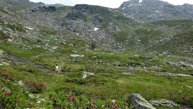 Der Talboden unterhalb der Blauen Seen - beim &quot;G&#039;schriebenen Stein&quot;.