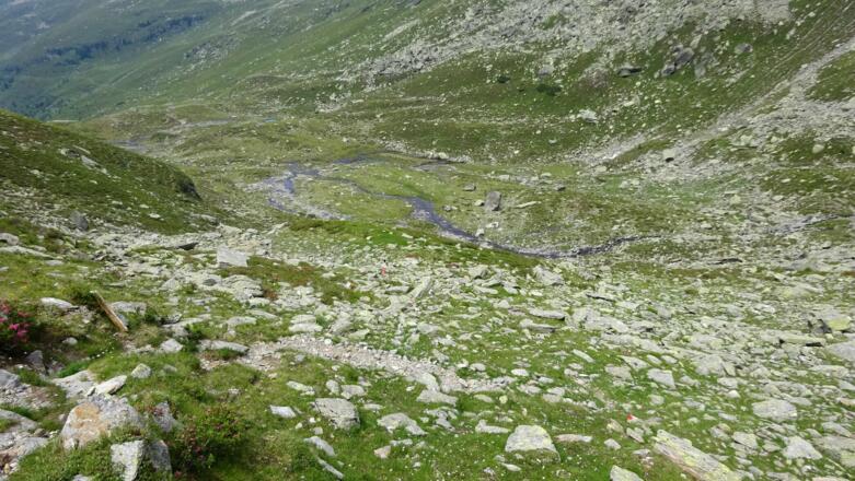 ... markiertem Steig zu den Seen.