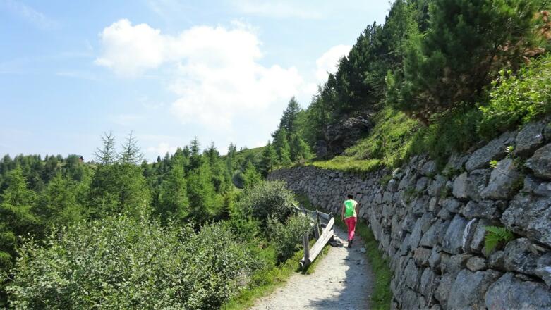 Breiter Weg, viel begangen und ...