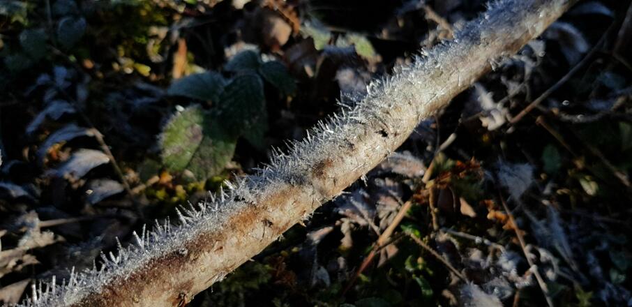 ... für Leute die es einsam haben wollen wahrscheinlich die schönste Jahreszeit für diese Tour ...