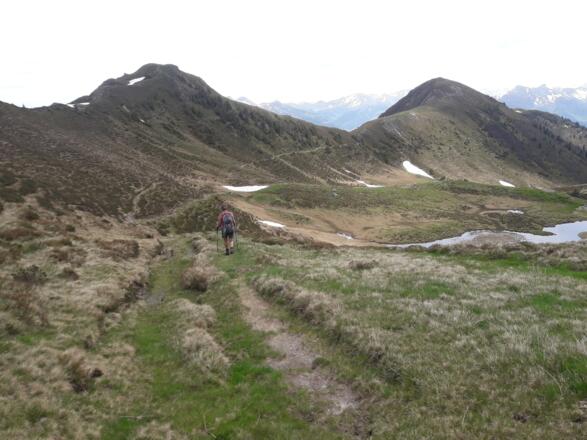 Ochsinger und Galtviehkopf