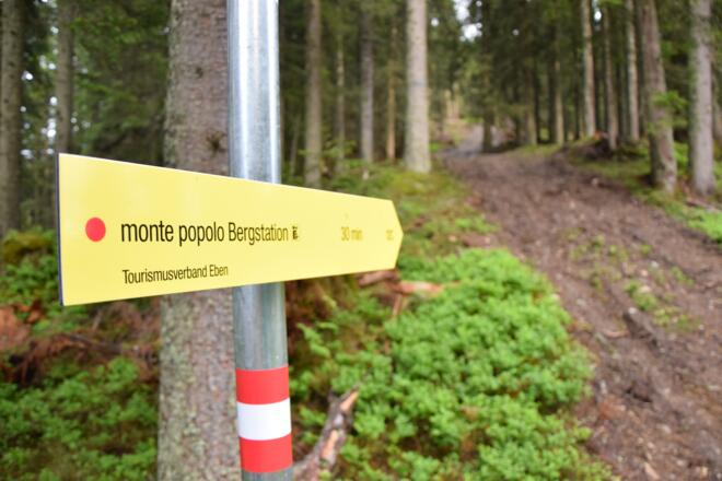 auf gut beschilderten Wegen geht es hoch hinaus