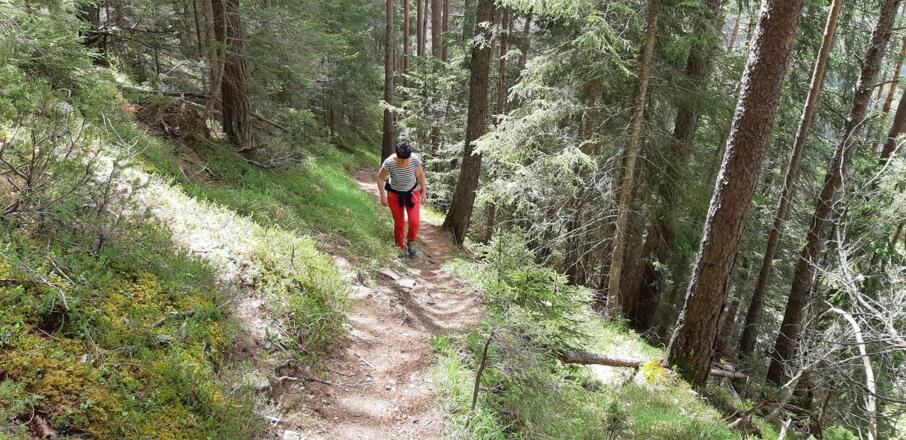 In idealer und gleichmäßiger Neigung führt der Weg ... 