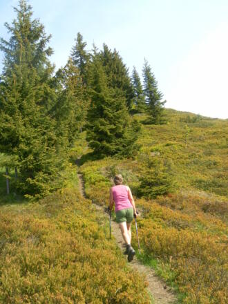 Südflanke der Pfarrachhöhe