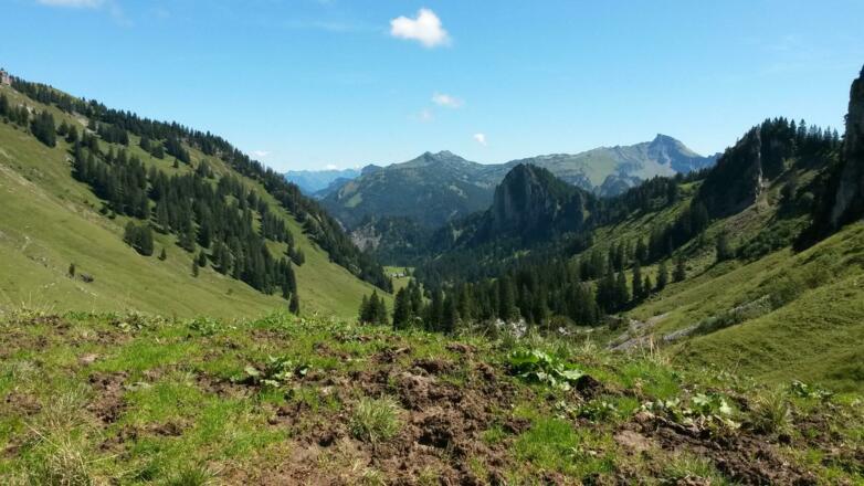 Blick vom Schreibersattel Richtung Westen