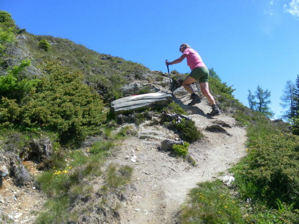 Südanstieg zum Rauchkögerl