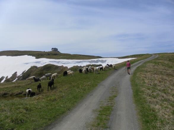 Statzerhaus auf der Gipfelkuppe