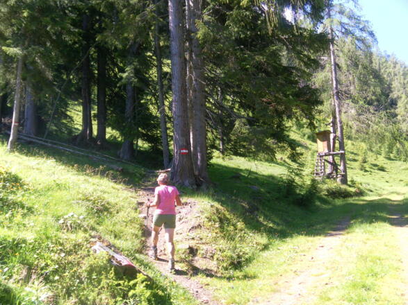 Abzweig zur Kögerlalm