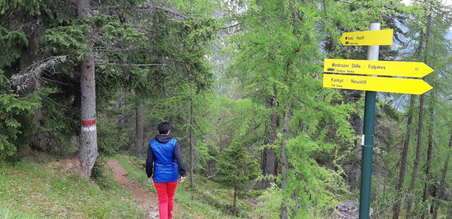 Zurück zum Gasthof Wildeben und in südlicher Richtung weiter Richtung Kamplhöhle.