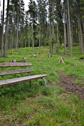 Bank lädt zum Rasten ein